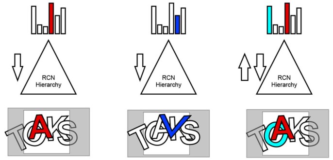 occlusion resolution