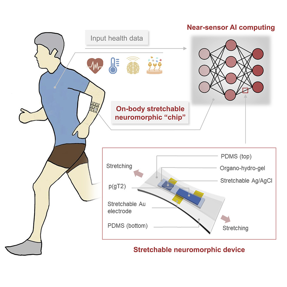 Computing chip health monitoring