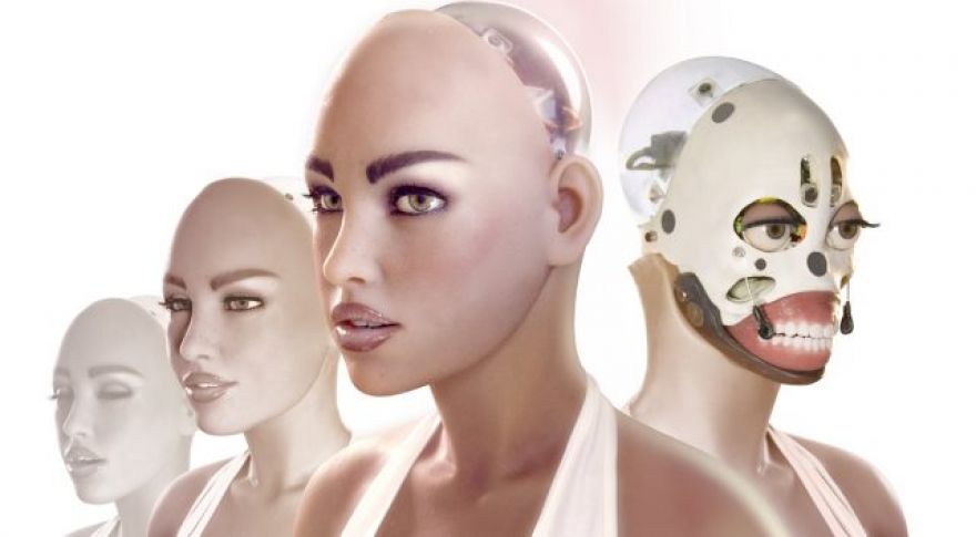 Researchers: Society Must Consider Risks, Potential of Sex Robots