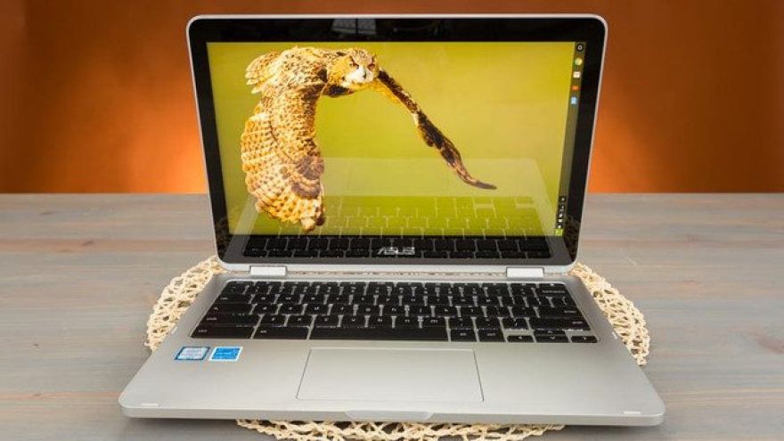 Chromebooks Gain Market Share as Education Goes Online