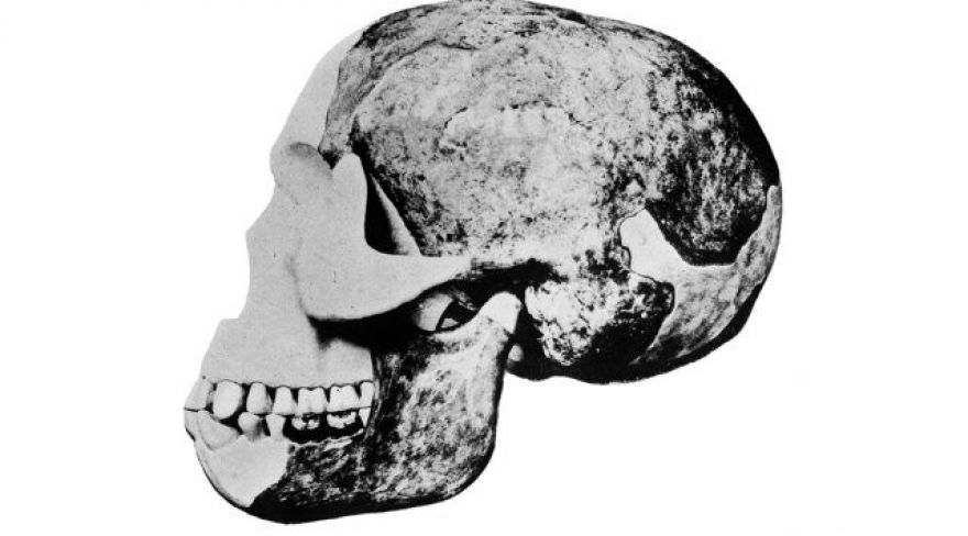 Researchers claim new evidence unmasks the culprit in the infamous ‘Piltdown Man’ hoax