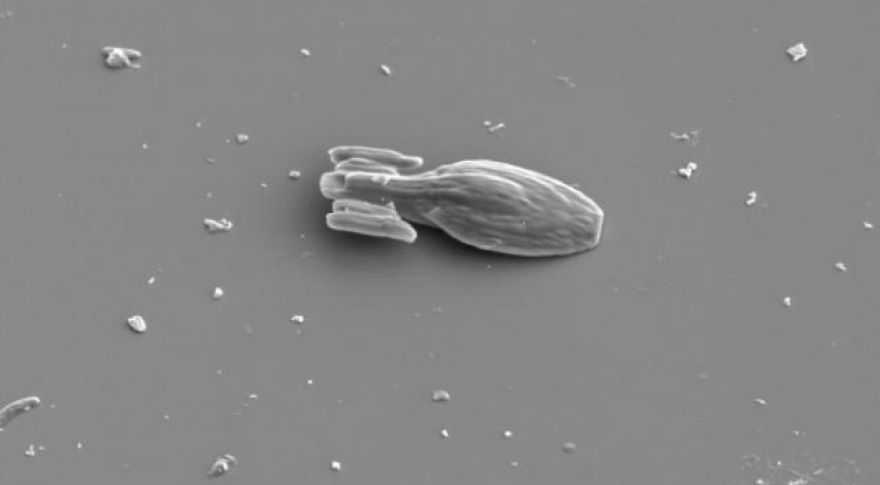 Scientists 3D Print Microscopic USS Voyager With Its Own Propulsion