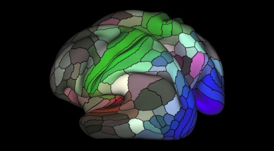 The Human Connectome Project zeroes in on the firmware of the brain