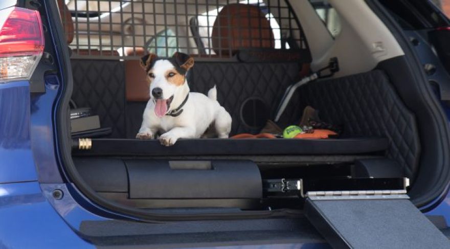 Nissan Rogue Dogue SUV puts Fido first