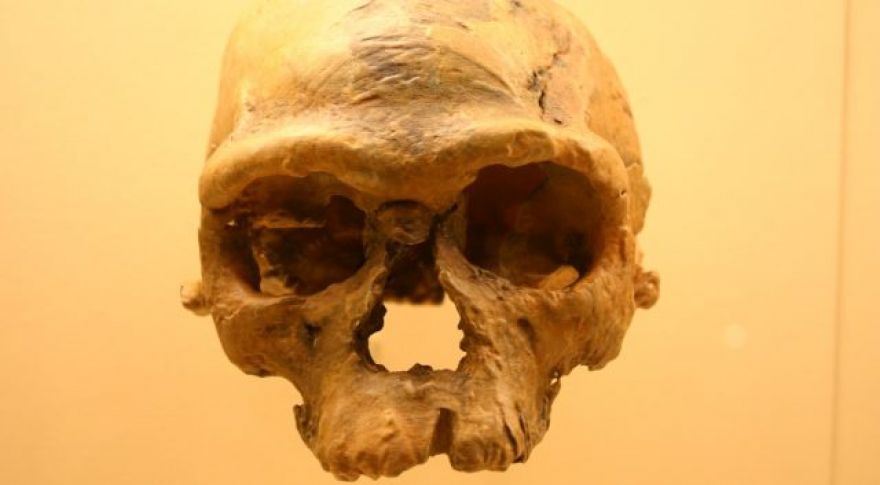 New Fossil Discovery Rewrites History of First Human Beings