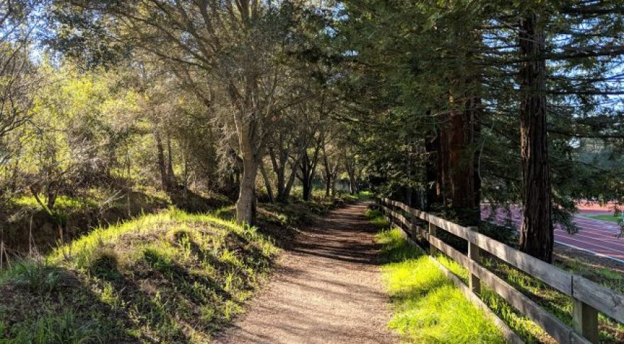 Best Android Phones for Photographers in 2018