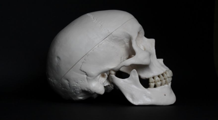 North America’s First Skull Surgery Was At Least 3,000 Years Ago