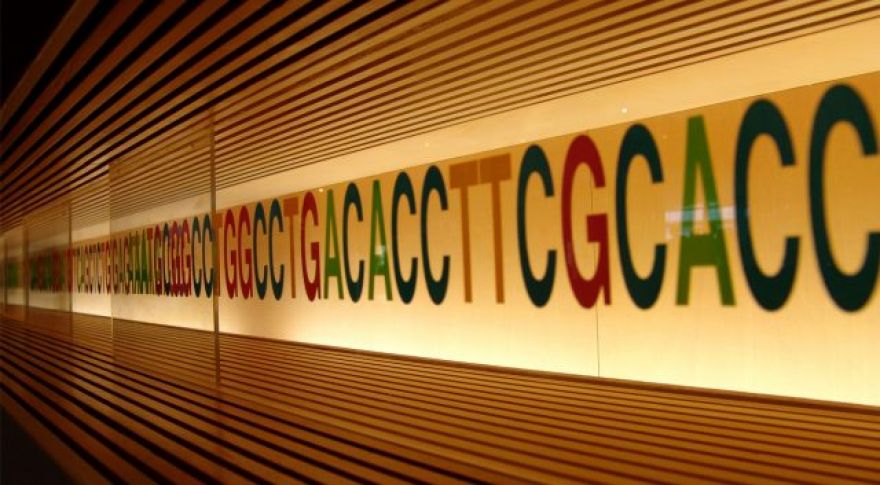 Researchers increase the storage capacity of DNA to 214 petabytes per gram