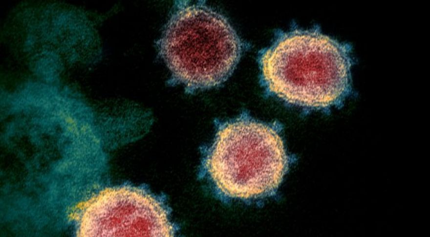 FDA Approves CRISPR-Based Coronavirus Test