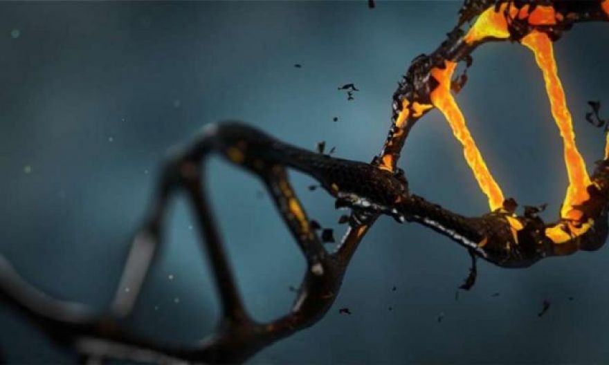 CRISPR Gene Therapy Restores Color Vision in Small Trial