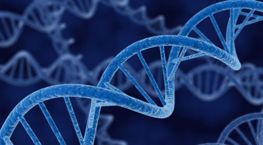 Scientists Rename Genes So Excel Won’t Reformat Them as Dates