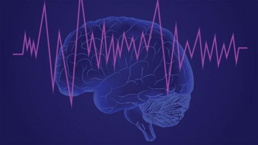 Scientists Turn Brain Scans Into Intelligible Speech With Neural Network