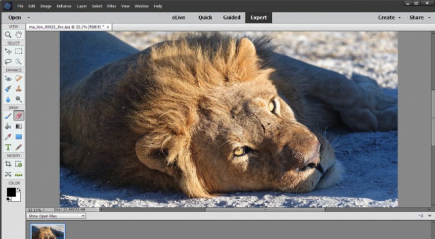Hands On With Adobe Photoshop and Premiere Elements 2018
