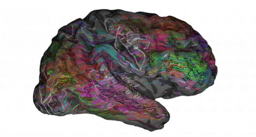 UC Berkeley team builds ‘semantic atlas’ of the human brain