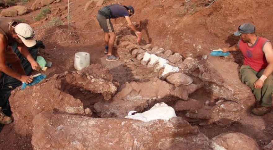 Paleontologists Might Have Discovered the Largest Dinosaur That Ever Lived