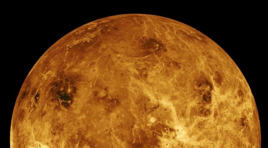 Life Might Exist in the Clouds of Venus
