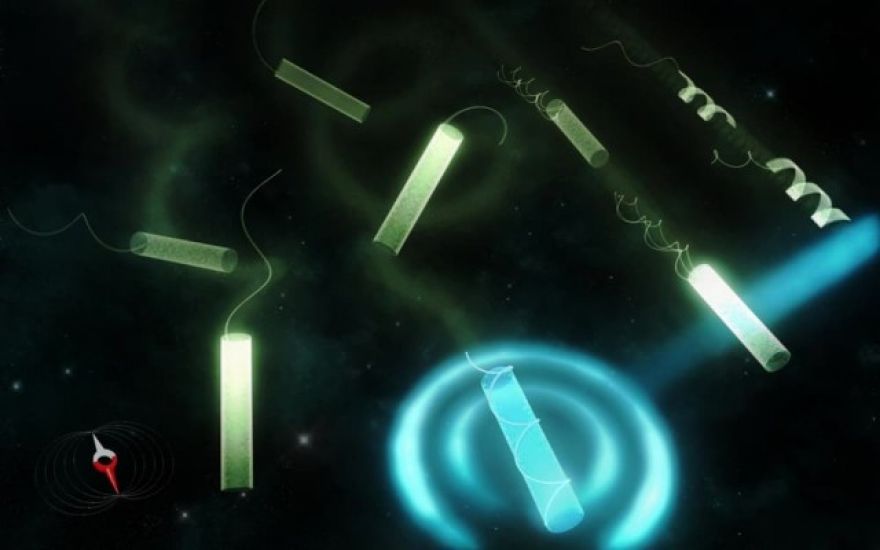 New shapeshifting medical microbots inspired by germs