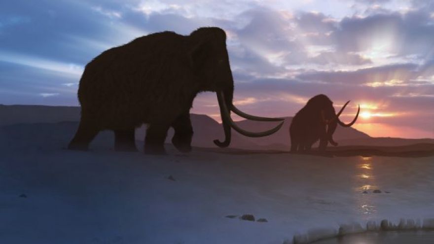 Scientists Plan to Resurrect the Woolly Mammoth This Decade