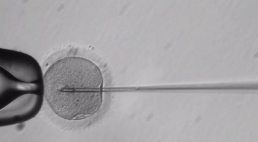 CRISPR Used to Genetically Modify Human Embryo in the US