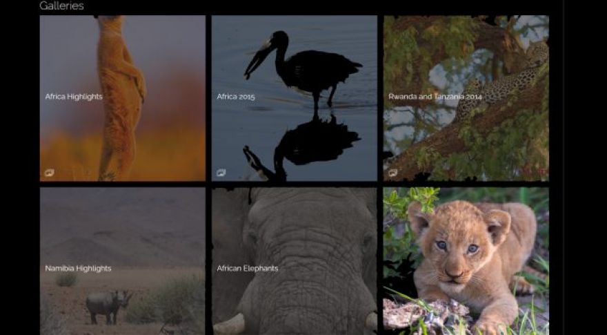 The Best Web Hosting Services for Creative Pros